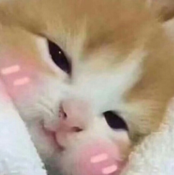 Meet your Posher, Vickie - Picture 1 of 1